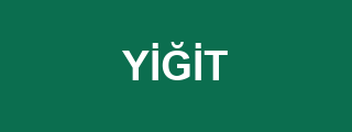Yiğit Akü